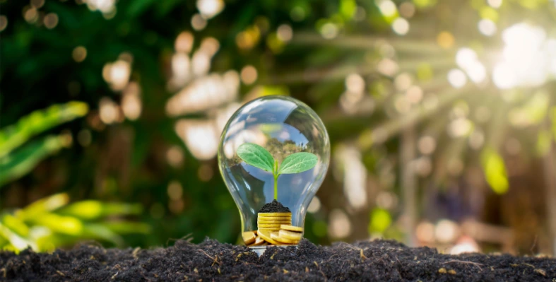 A small plant growing inside a lightbulb placed on soil