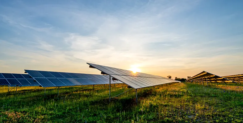 solar_panels_in_a_green_field