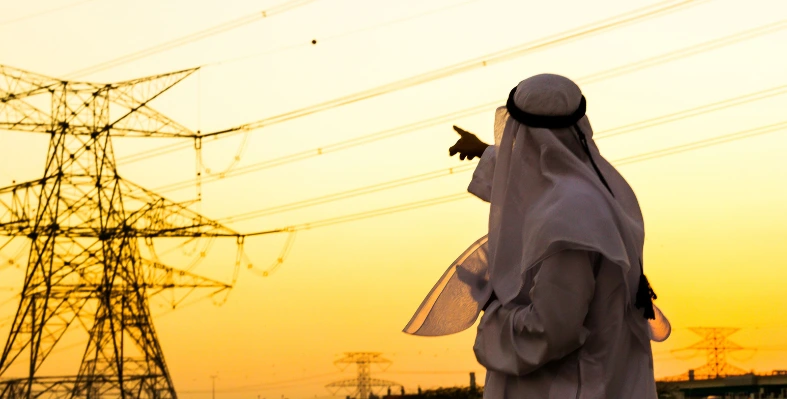 The CM welcomes cross-border participation.  Image_of_power_transmission_lines