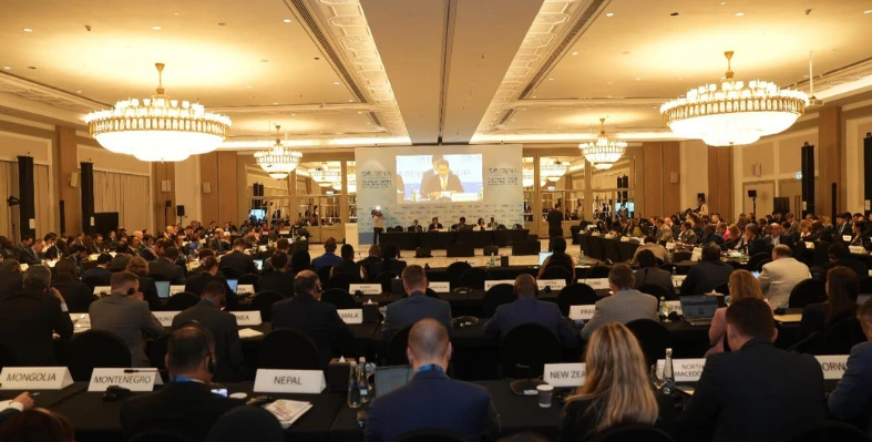 irena_council