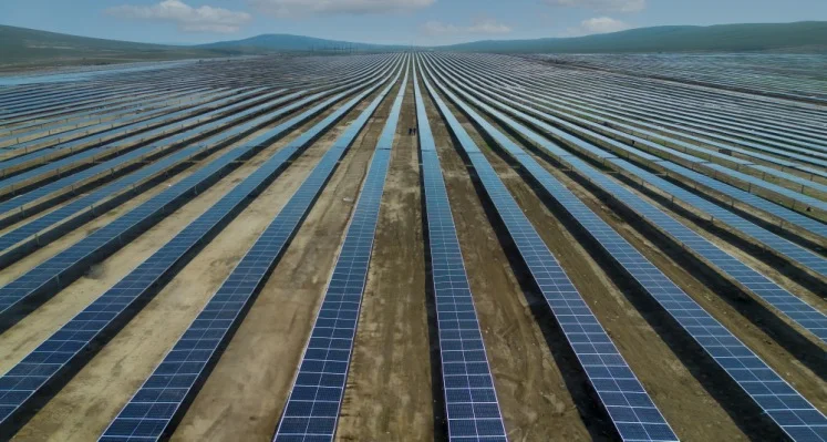 A field full of solar panels