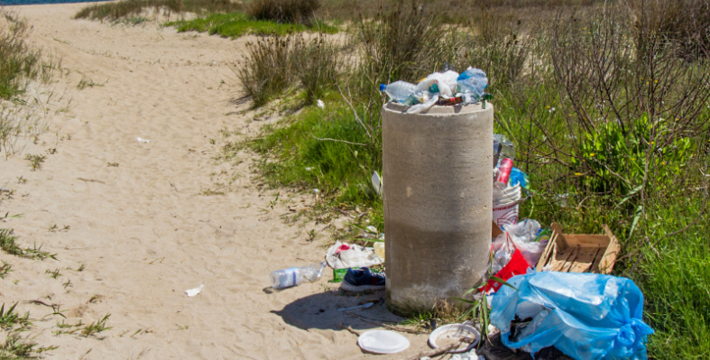 Image of waste Styrofoam. 