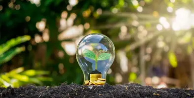 A_light_bulb_depicting_sustainability
