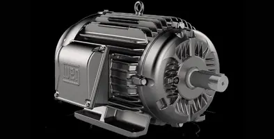 The_WEG_motor