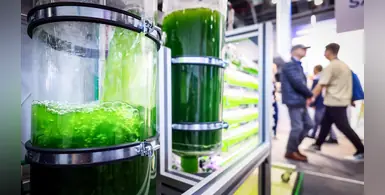 a_glass_jar_with_green_liquid