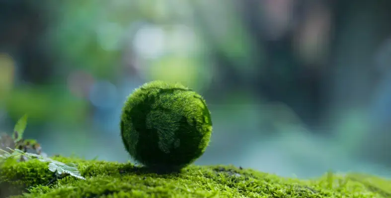 green_world_and_vegetation_representing_environment
