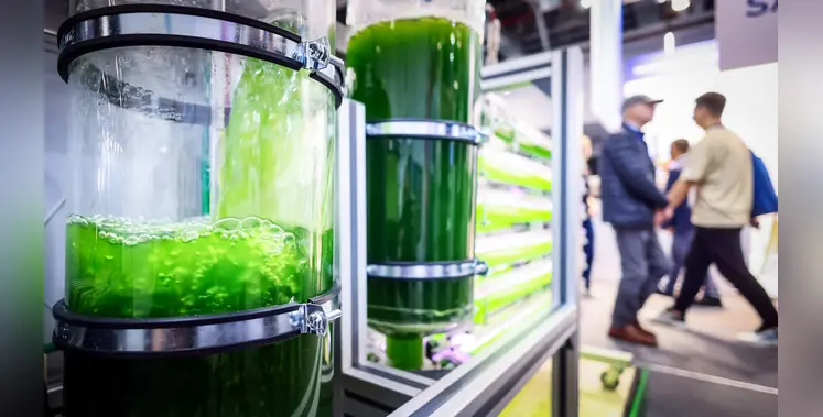 a_glass_jar_with_green_liquid