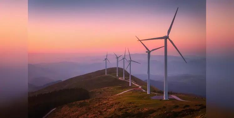 Image_of_wind_power_pilot