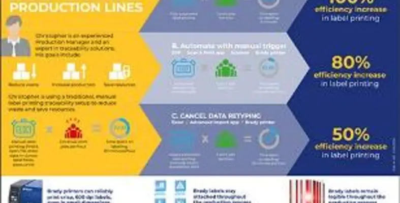 Infographic IP EN preview