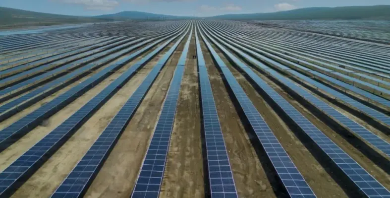 A field full of solar panels